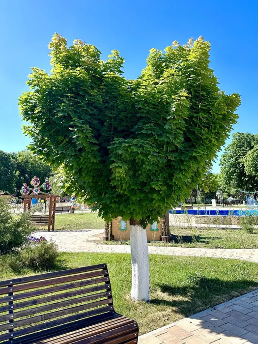 image-06-05-24-02-25