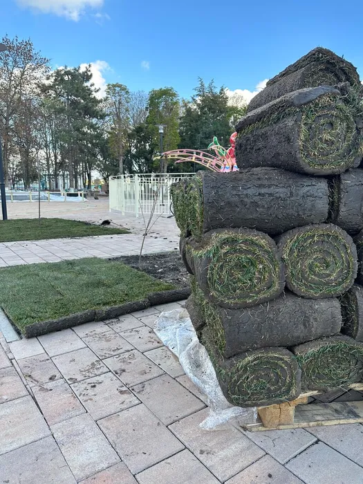 image-17-11-23-03-11-8