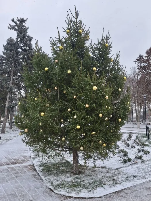 image-13-12-24-03-55-1