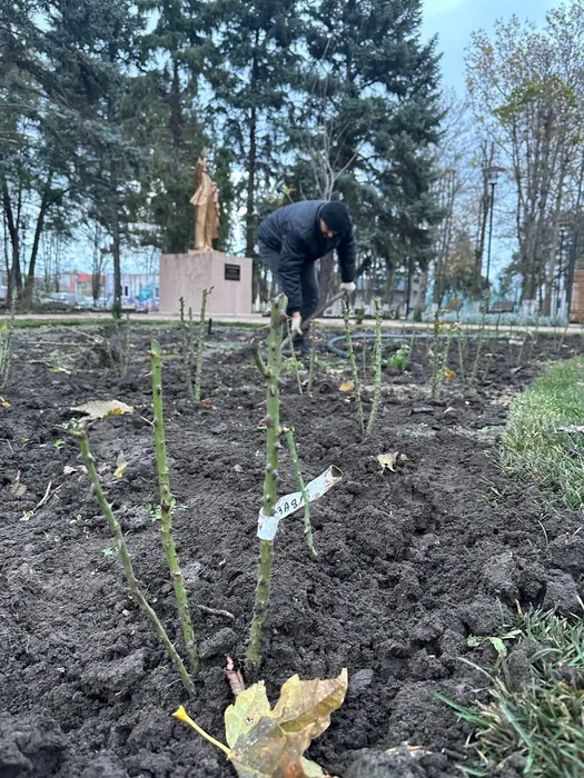 image-22-11-23-01-45-4