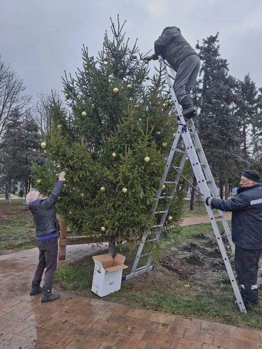 image-13-12-24-03-55