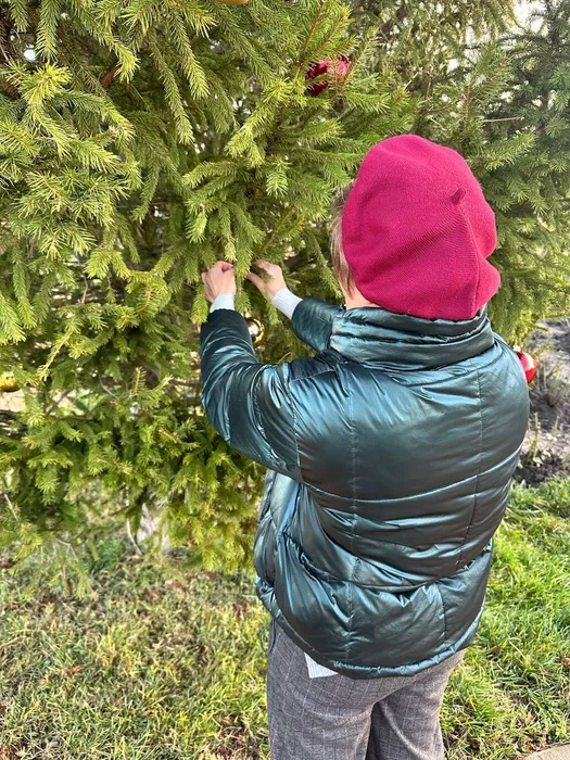 IMG_20251212_140904_736