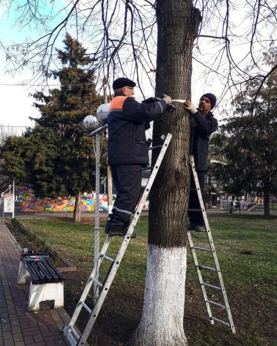 image-13-12-21-10-07-4