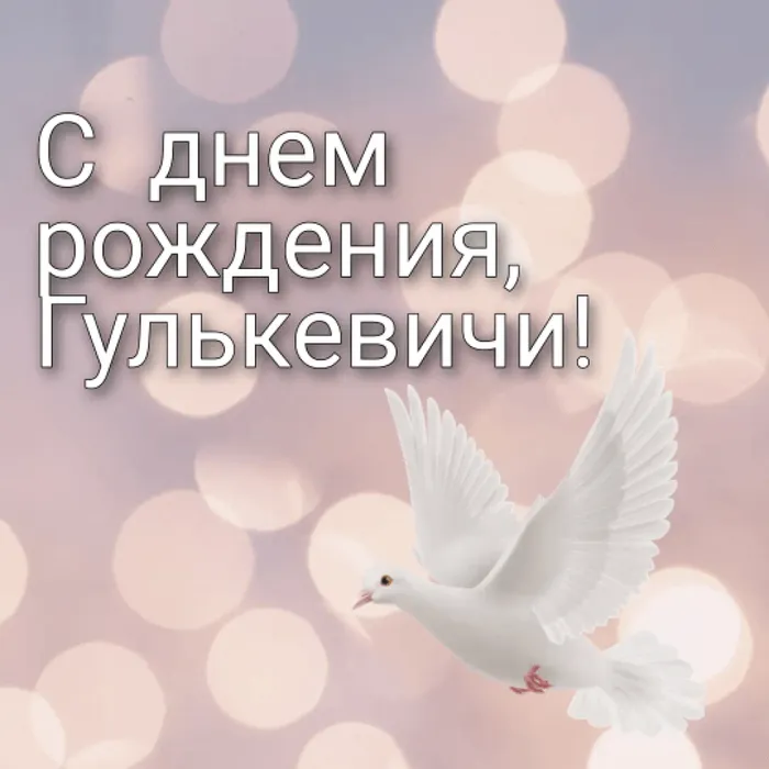 IMG_20210827_103037_481