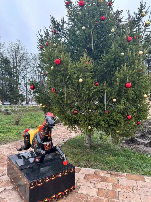 IMG_20251212_140904_441