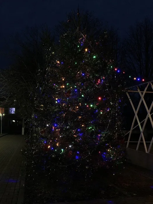 image-15-12-21-01-58