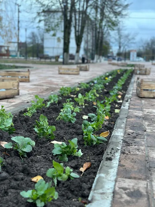 1aceb07a-bd04-4682-b8f6-a13af155d02c