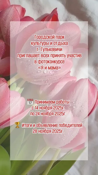 IMG_20251118_110434_260