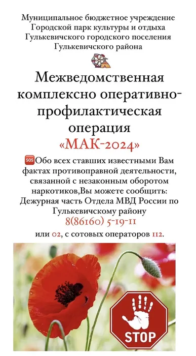 image-02-07-24-03-32-1