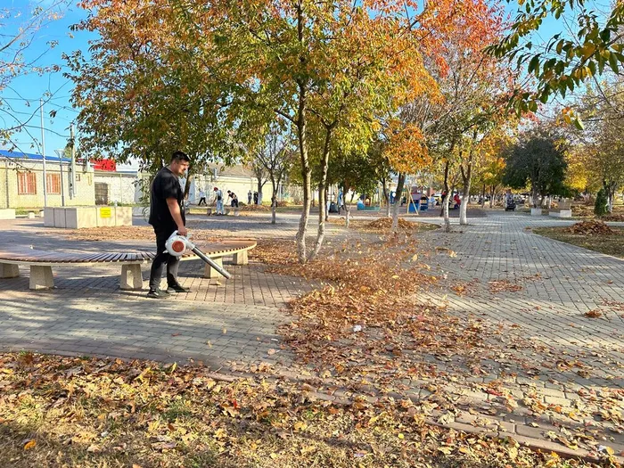 image-01-11-23-04-28