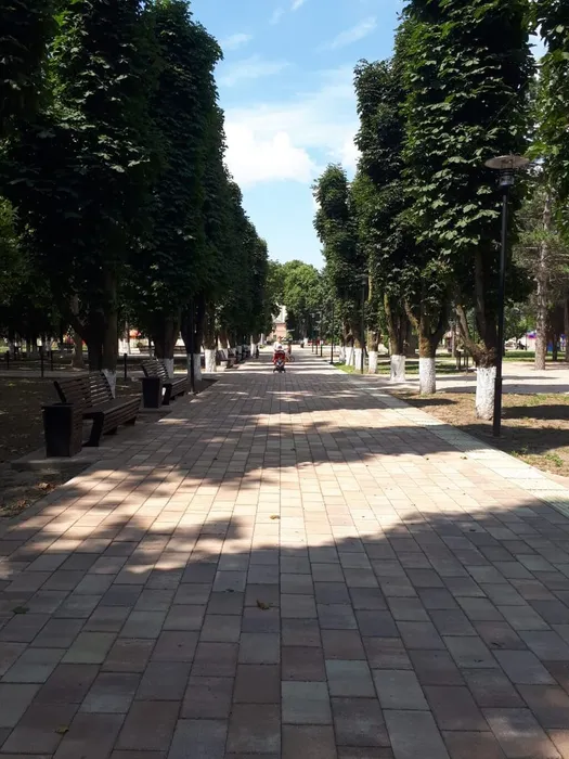 image-29-06-23-01-40-4