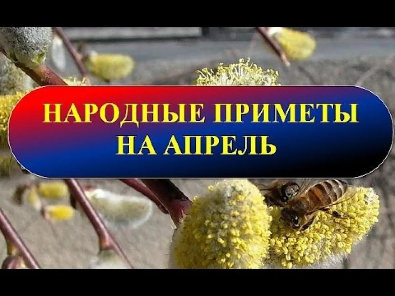 апрель