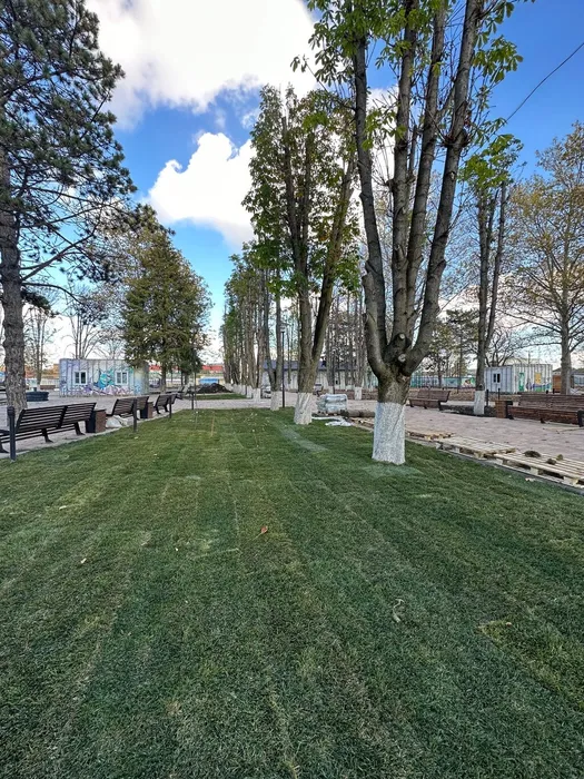 image-17-11-23-03-11-5