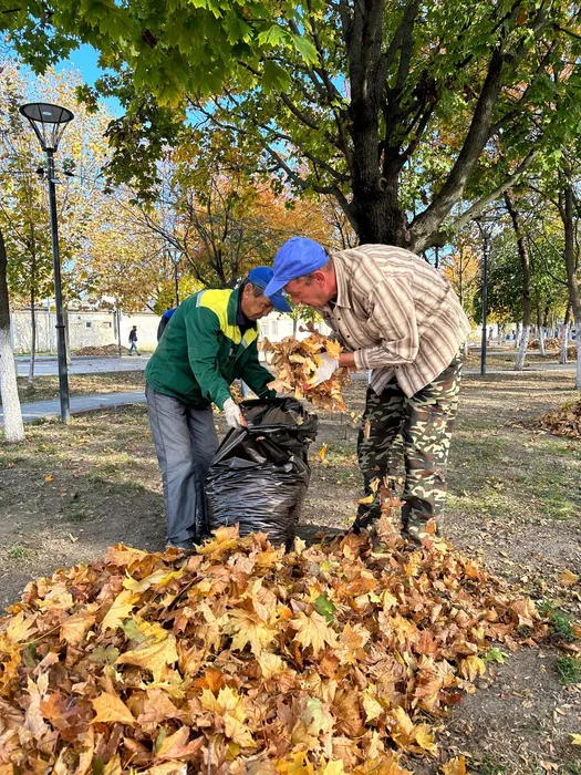 image-01-11-23-04-28-5